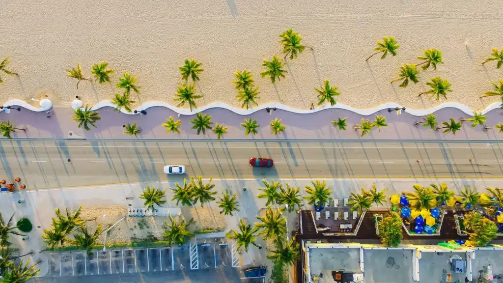 Aerial view of a coastal road with palm trees, beach, and parked cars.