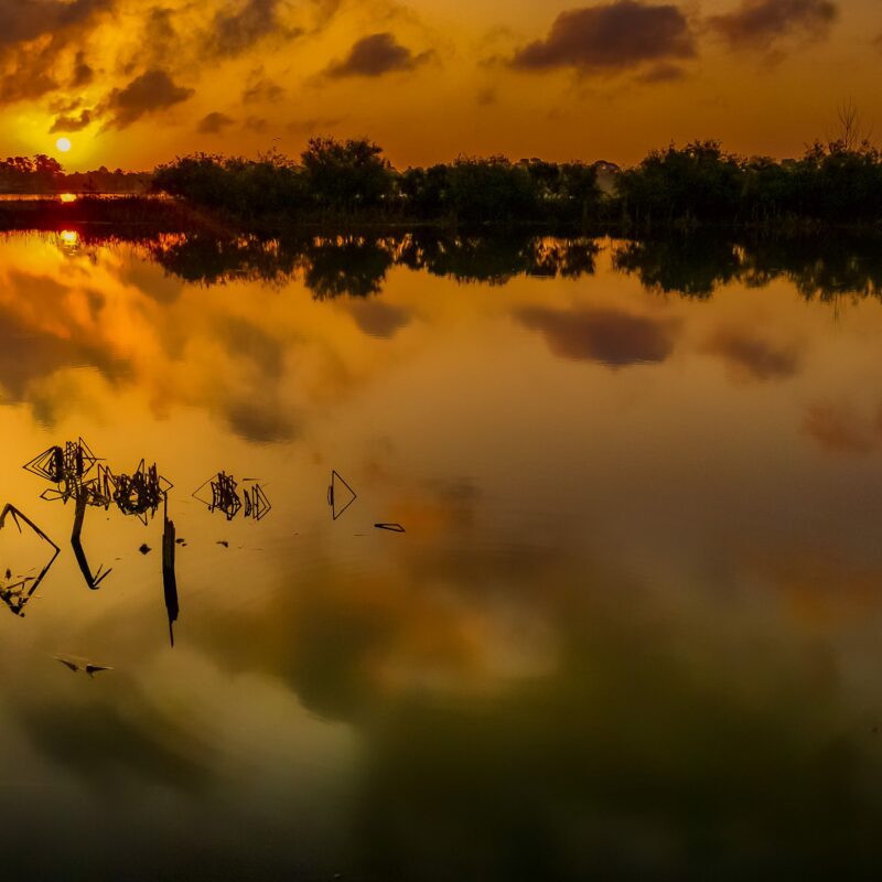 PHP vs IOP vs OP vs Virtual IOP in Lakeland, FL